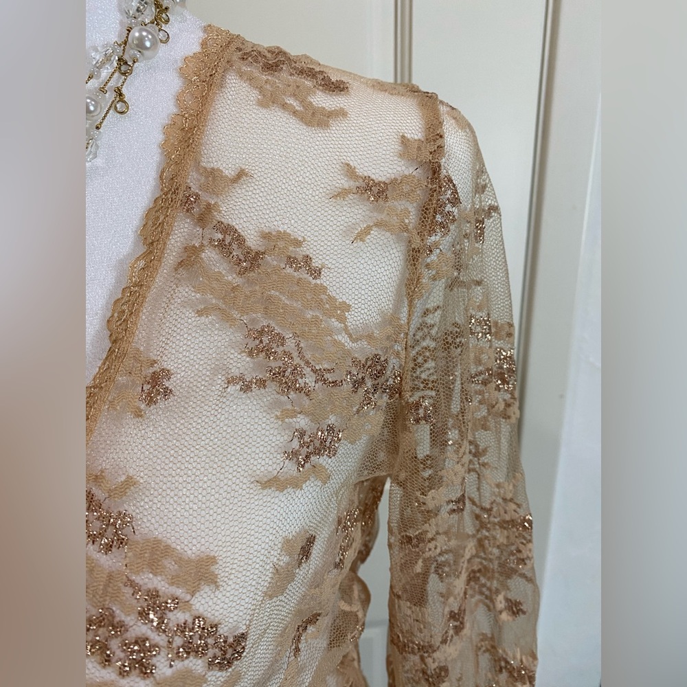 Fancy Top With Tan Netting And Gold Accents - image 4